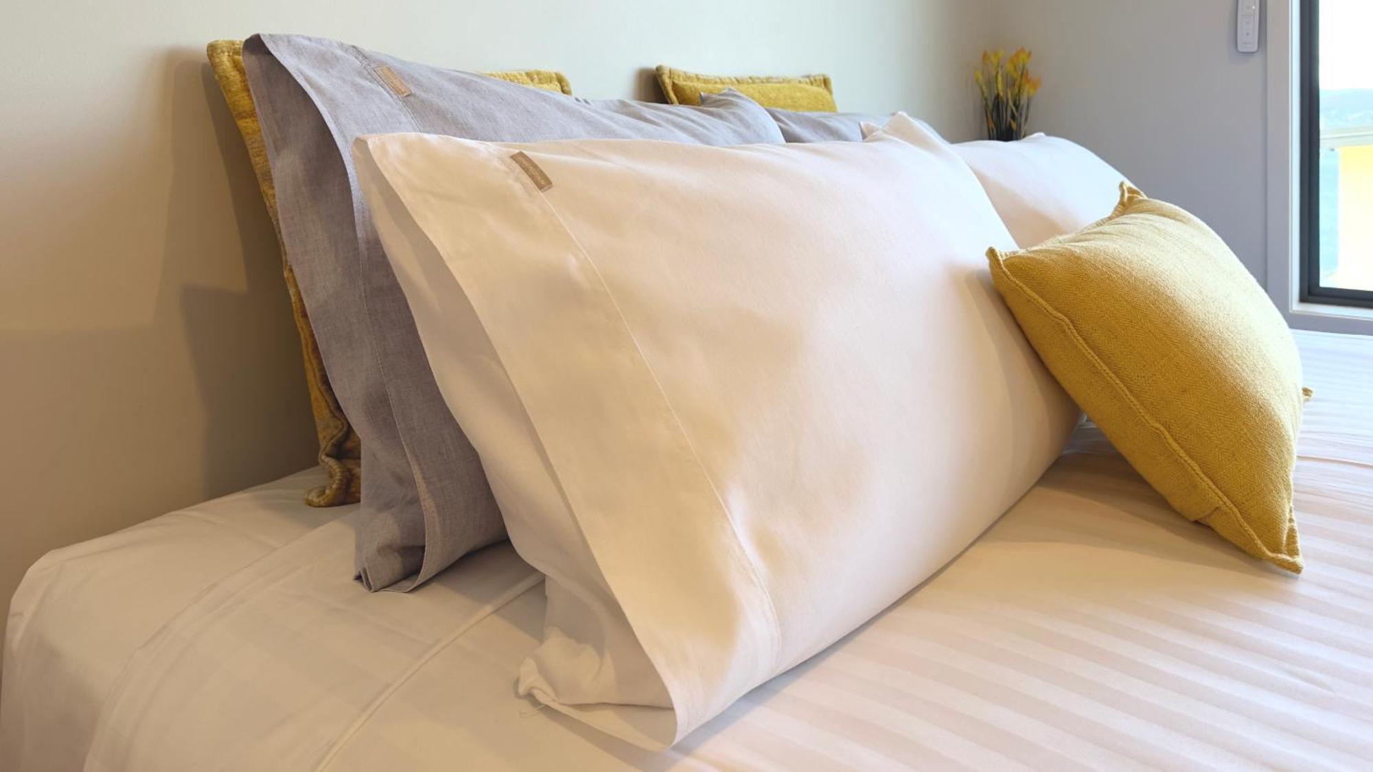 Oceana B&B Howrah エクステリア 写真